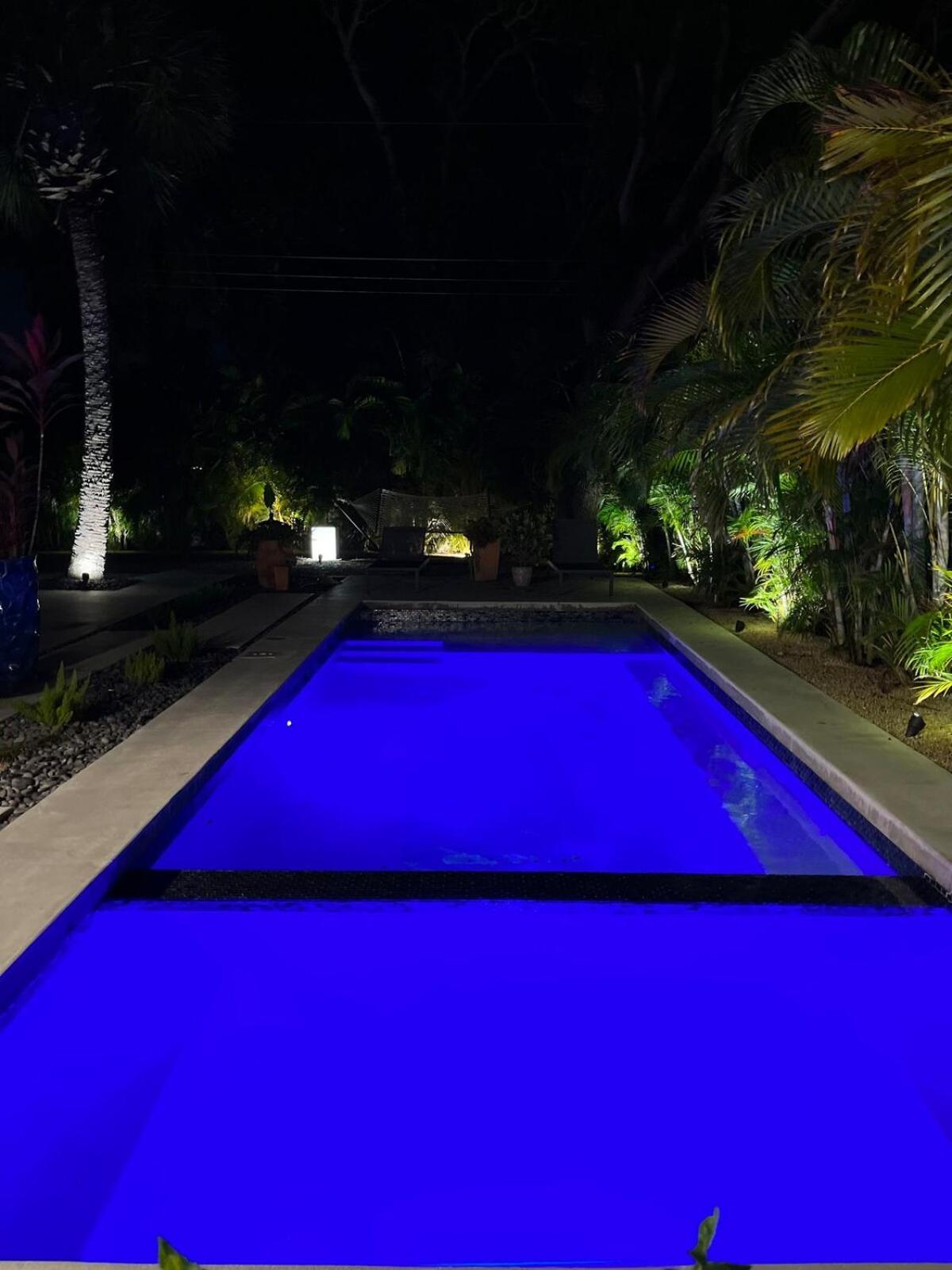 Vila Hiddengem In Charming Sarasota, Florida Exteriér fotografie